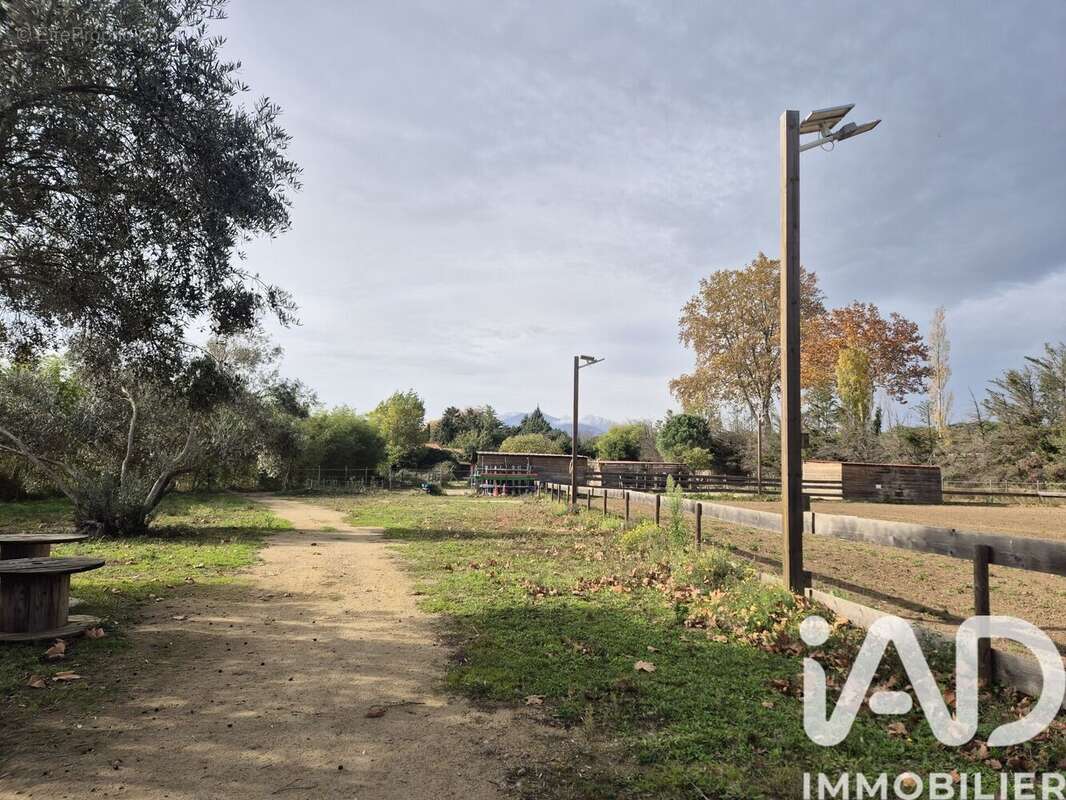 Photo 4 - Maison à SAINT-JEAN-PLA-DE-CORTS