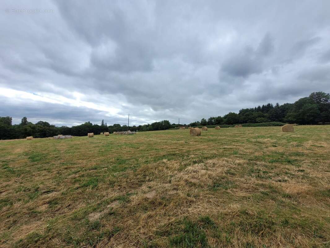 Terrain 54896 m² à Moutiers-Au-Perche  - photo 3