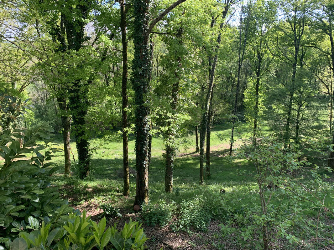 Maison à TERRASSON-LAVILLEDIEU