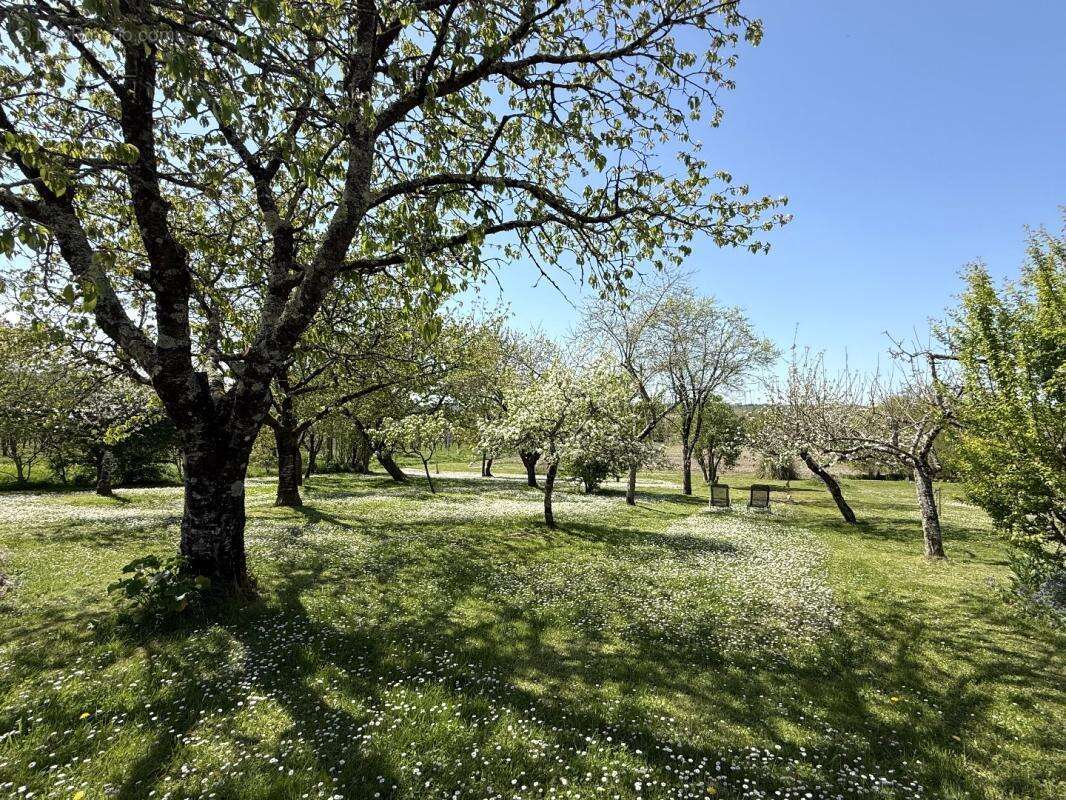 Maison à NANTEUIL-AURIAC-DE-BOURZAC