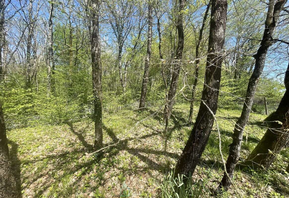Maison à BARBEZIEUX-SAINT-HILAIRE