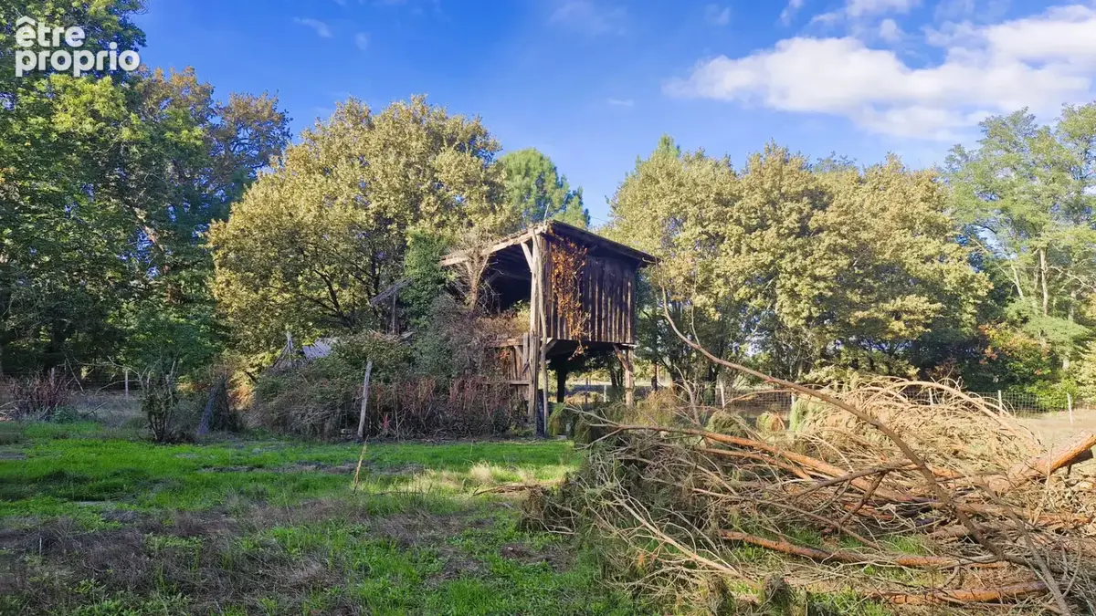 Authentique airial landais a proximite du bourg de linxe - photo 6