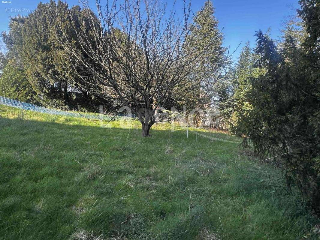 Terrain à ANNET-SUR-MARNE