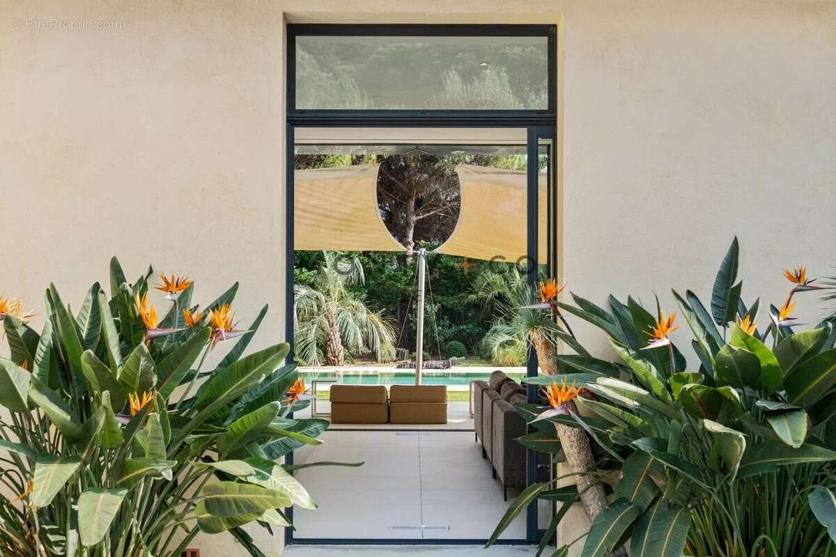 Maison à RAMATUELLE