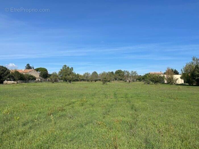 Terrain à SAINT-QUENTIN-LA-POTERIE