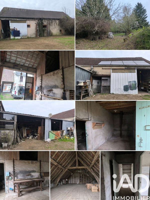 Photo 4 - Maison à LADON