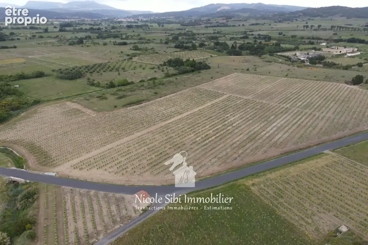 Terrain 28 715 m² à vendre à Latour-De-France (66720) - photo 2