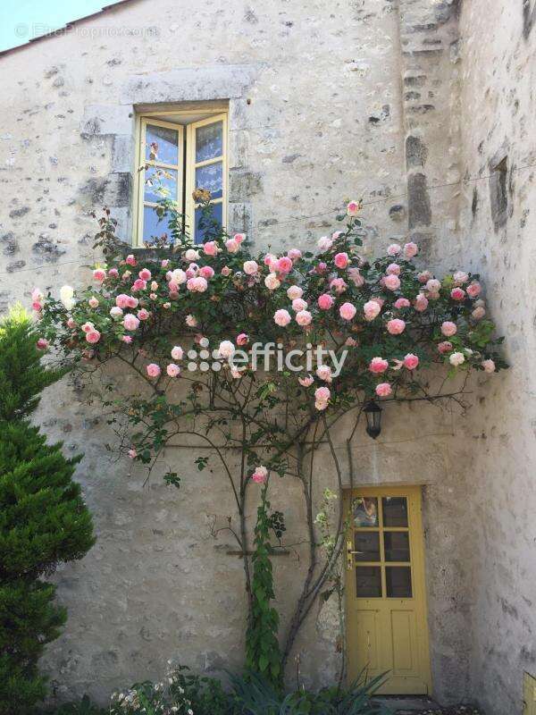 Maison 307 m² à Charroux  - photo 4