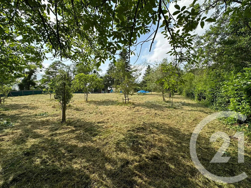 Terrain à SAINT-MARD