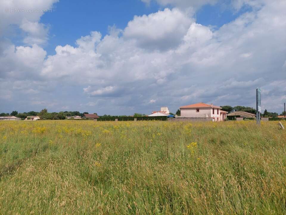 Terrain à MONTBETON