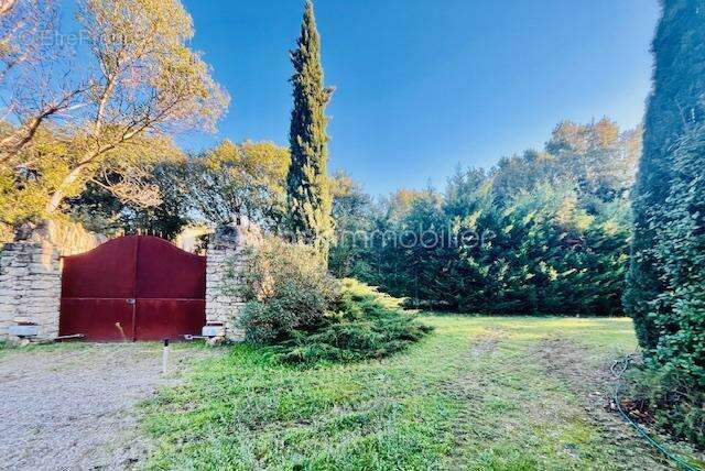  maison de charme à ménerbes – au cœur du triangle d’or du luberon  - photo 2