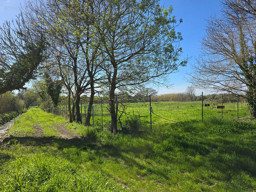 Terrain à ARGELES-SUR-MER