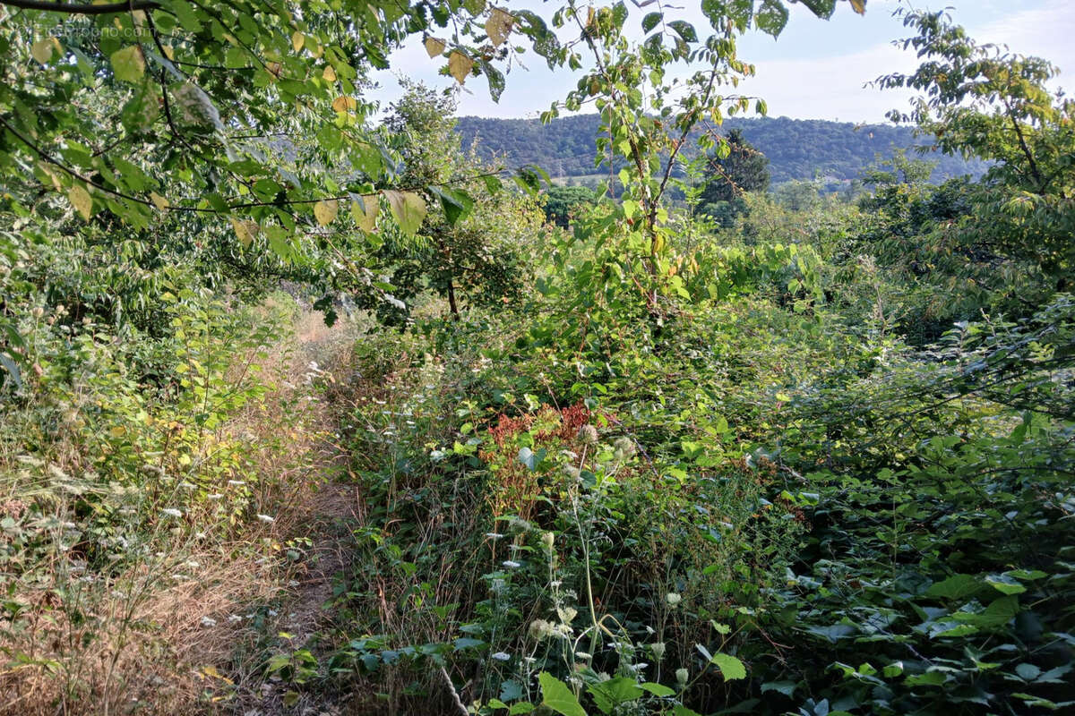 Terrain à REYNES
