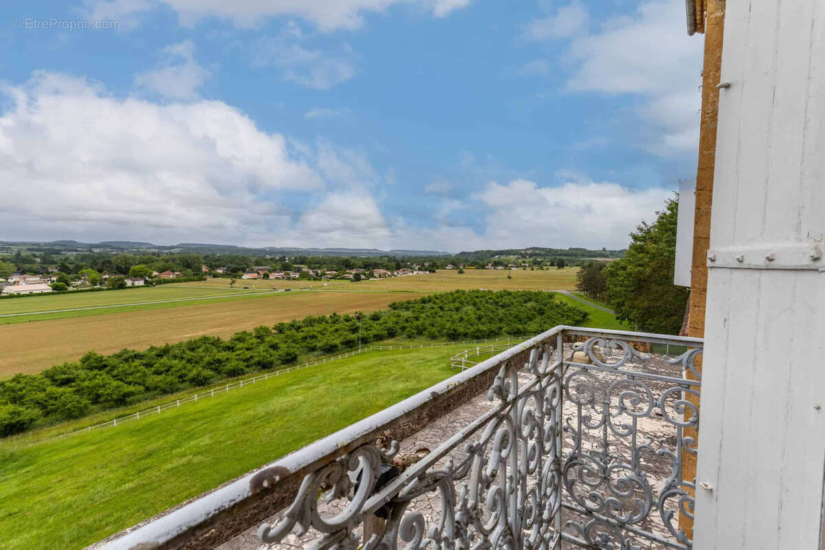 Chateau estate - photo 6