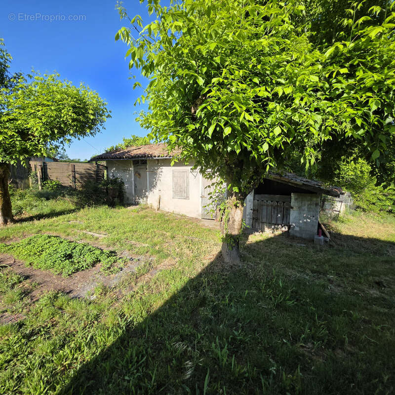 Maison à BELIN-BELIET