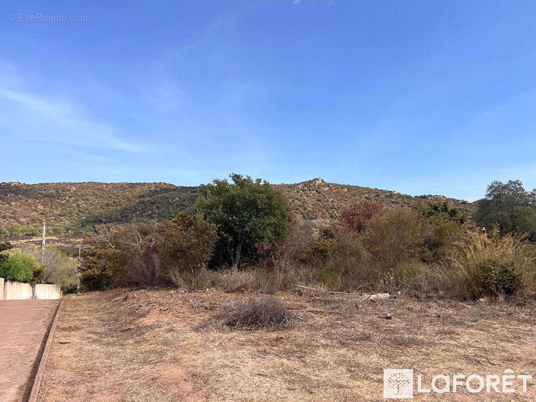 Terrain à PORTO-VECCHIO