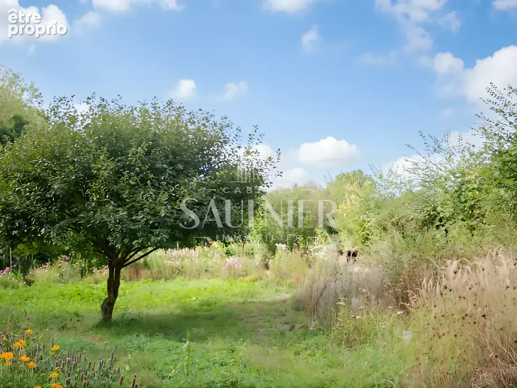 Entre Montrichard et Blois, petit domaine agricole. - photo 9