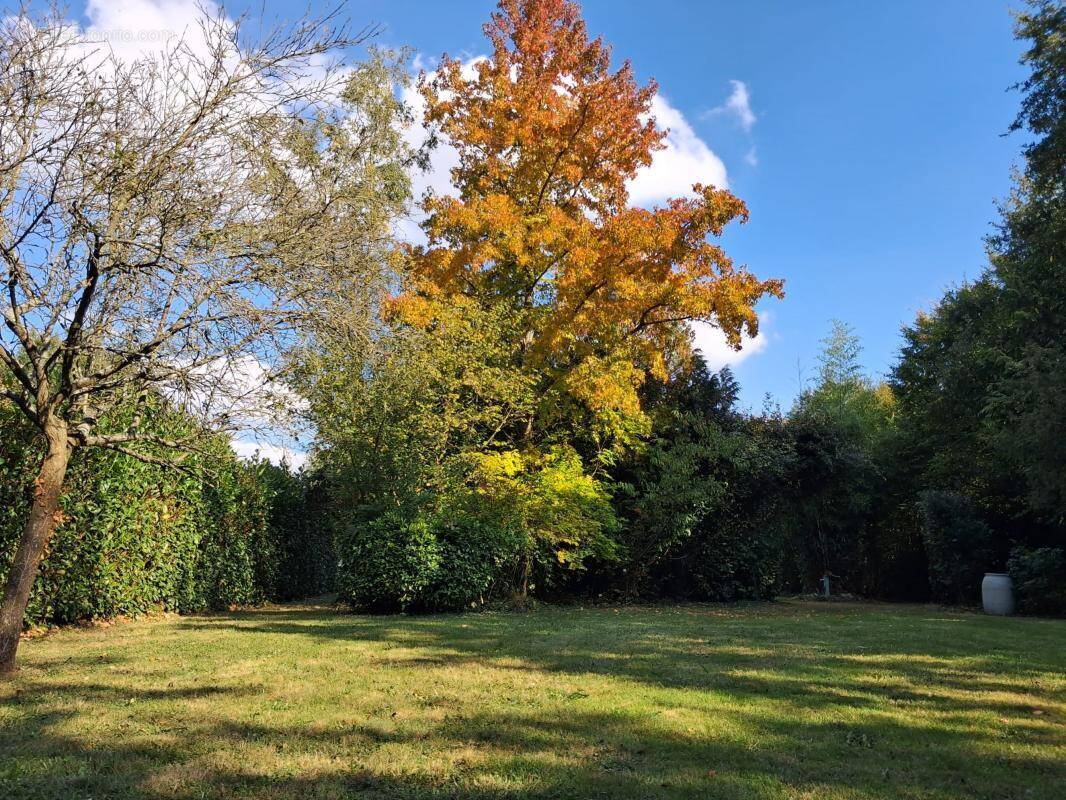 Terrain à NOUVOITOU