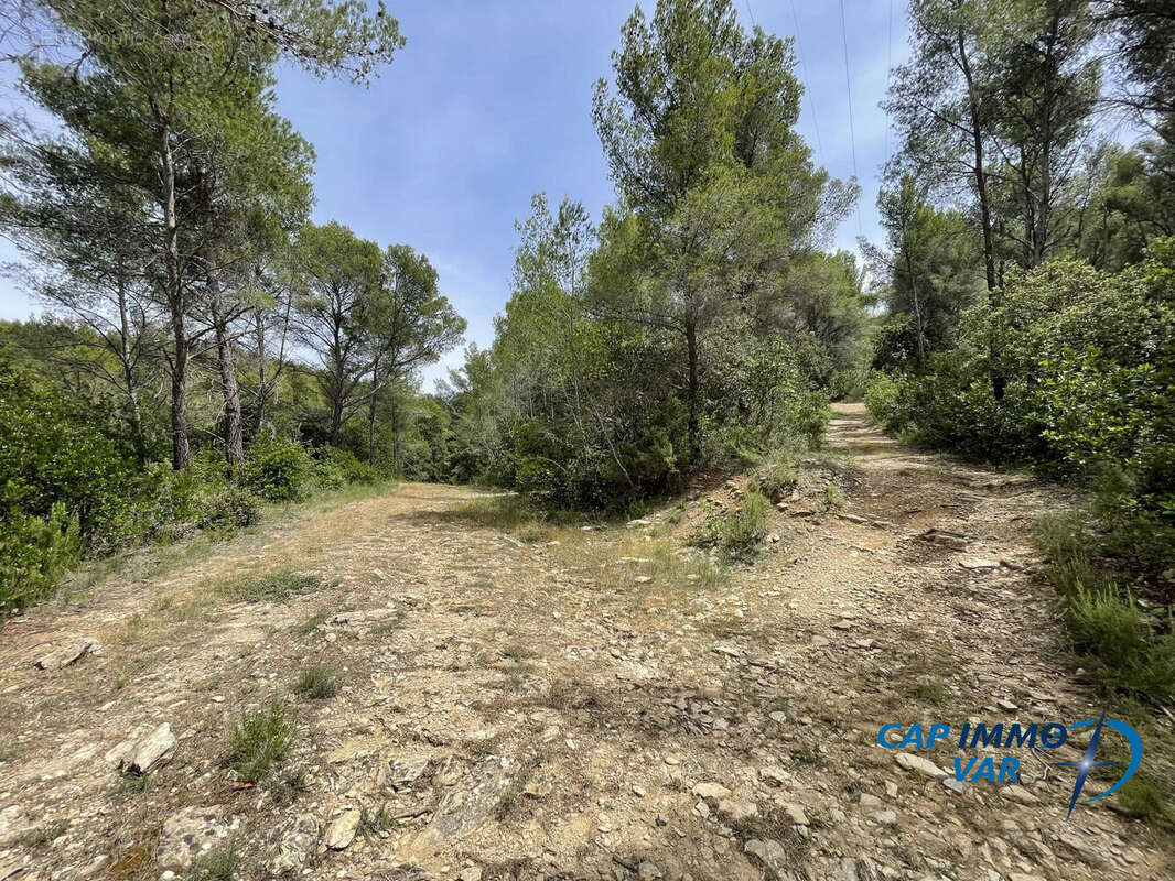 Terrain 22303 m² à Evenos  - photo 6