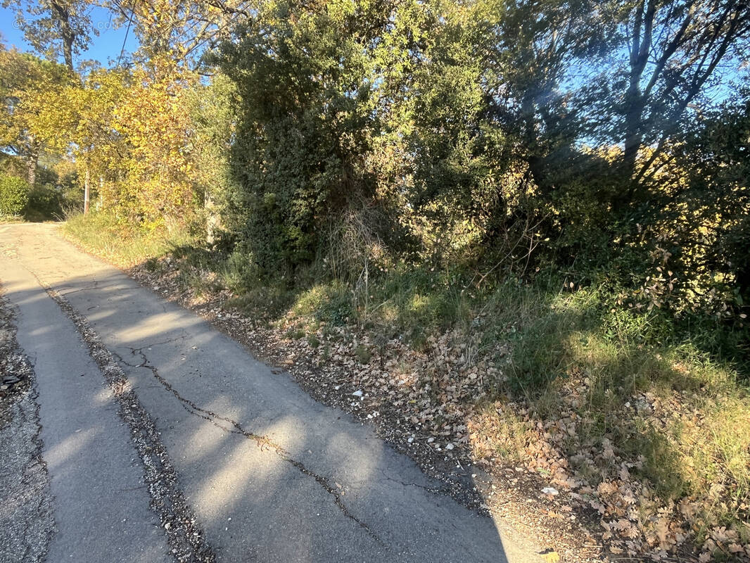 Terrain à SAINT-MAXIMIN