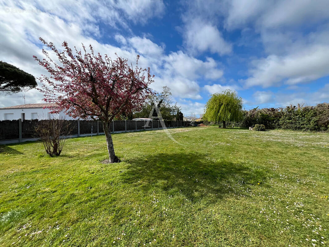 Terrain à LA BARRE-DE-MONTS