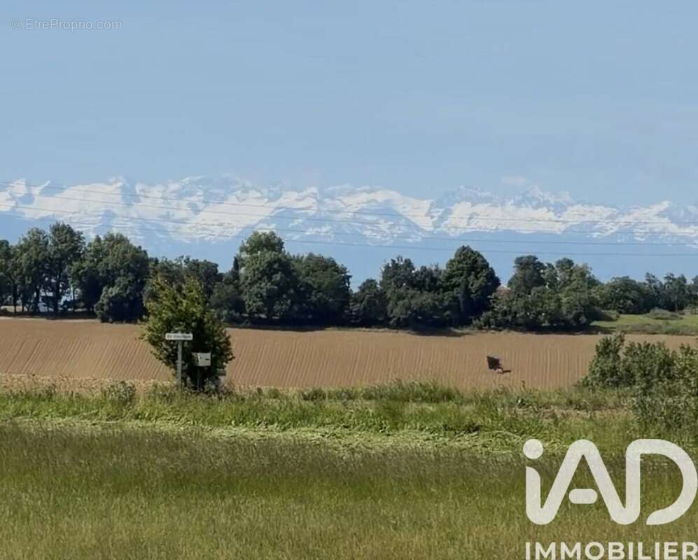 Maison 166 m² à L'isle-Jourdain  - photo 3