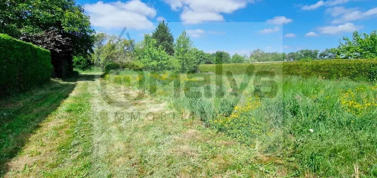Terrain à AIRE-SUR-LA-LYS