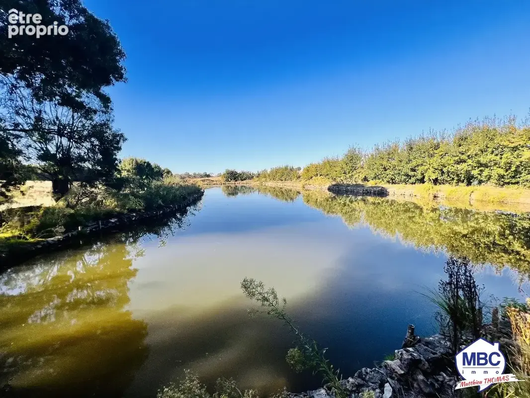 Longère de 192 m² avec grange, étang et forêt sur 2 hectares. - photo 10
