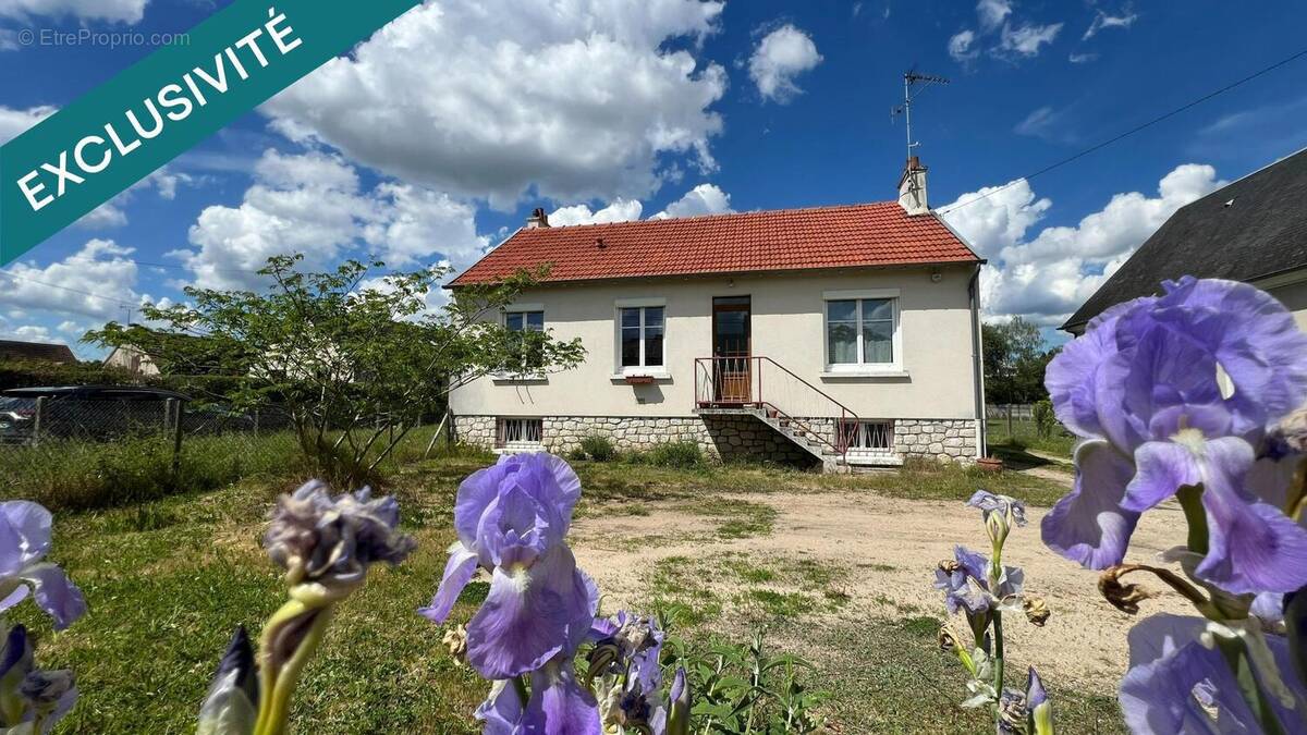 Photo 1 - Maison à ORLEANS