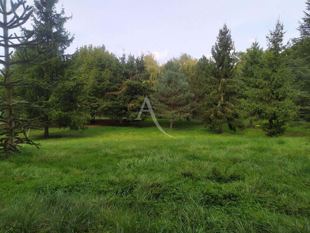 Maison à VIENNE-EN-VAL