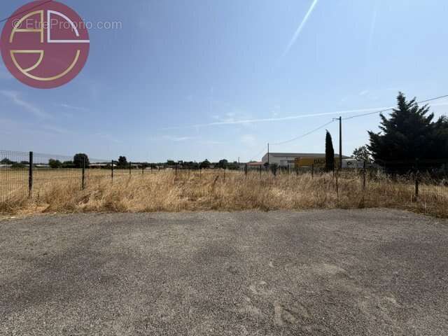 Commerce 351 m² à Saint-Jory  - photo 6