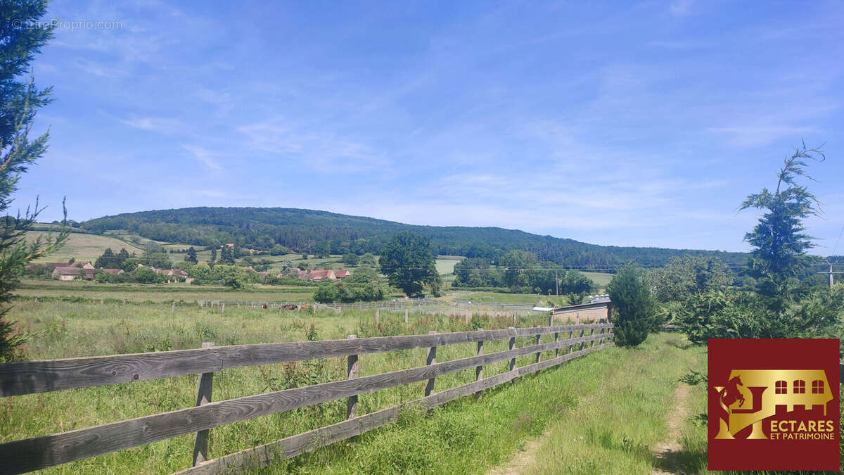 Propriété équestre 2,6 hectares - photo 15