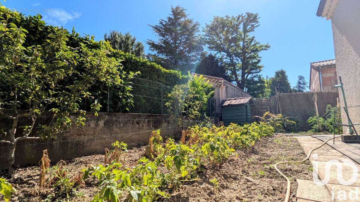 Photo 7 - Maison à MONTELIMAR