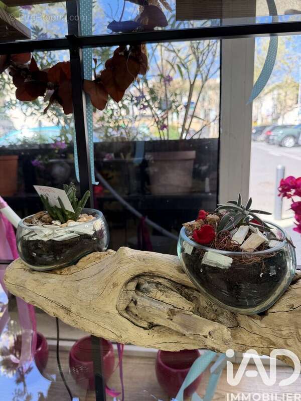 Photo 3 - Commerce à SALON-DE-PROVENCE