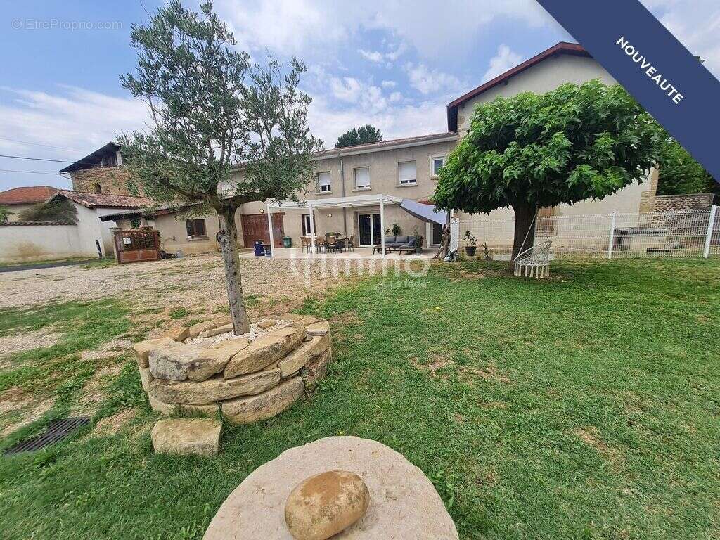 Maison 168.5m² terrain 1964m² gge 72m² dépdces cave - photo 2