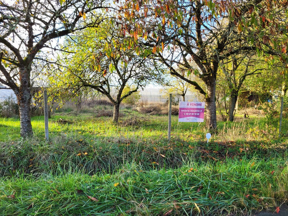 Terrain à BEAUFORT-EN-VALLEE