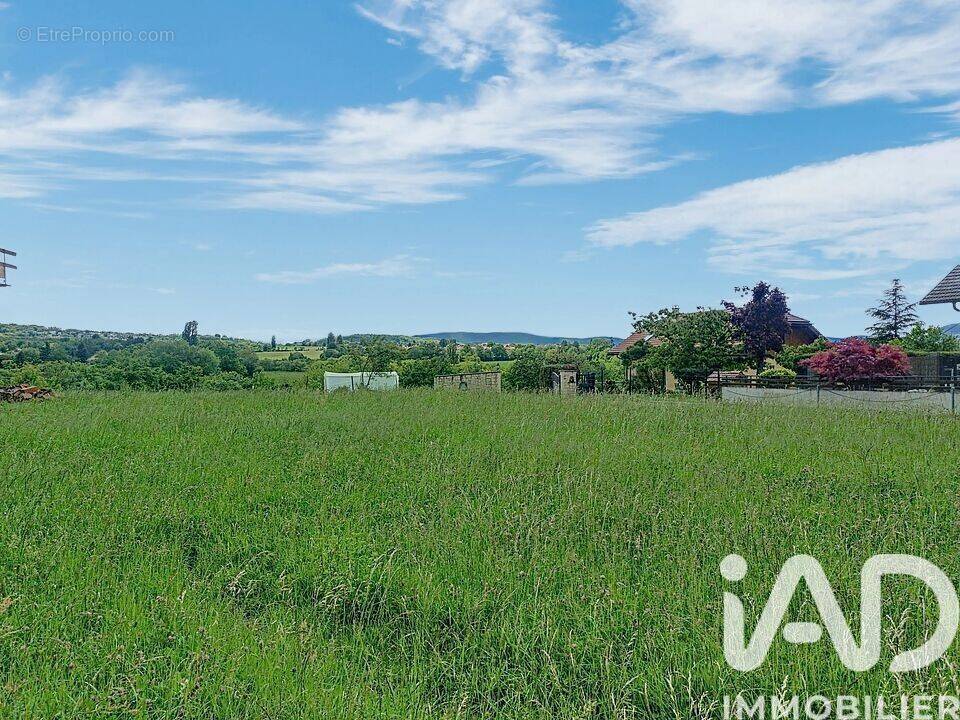 Photo 1 - Terrain à VIRY