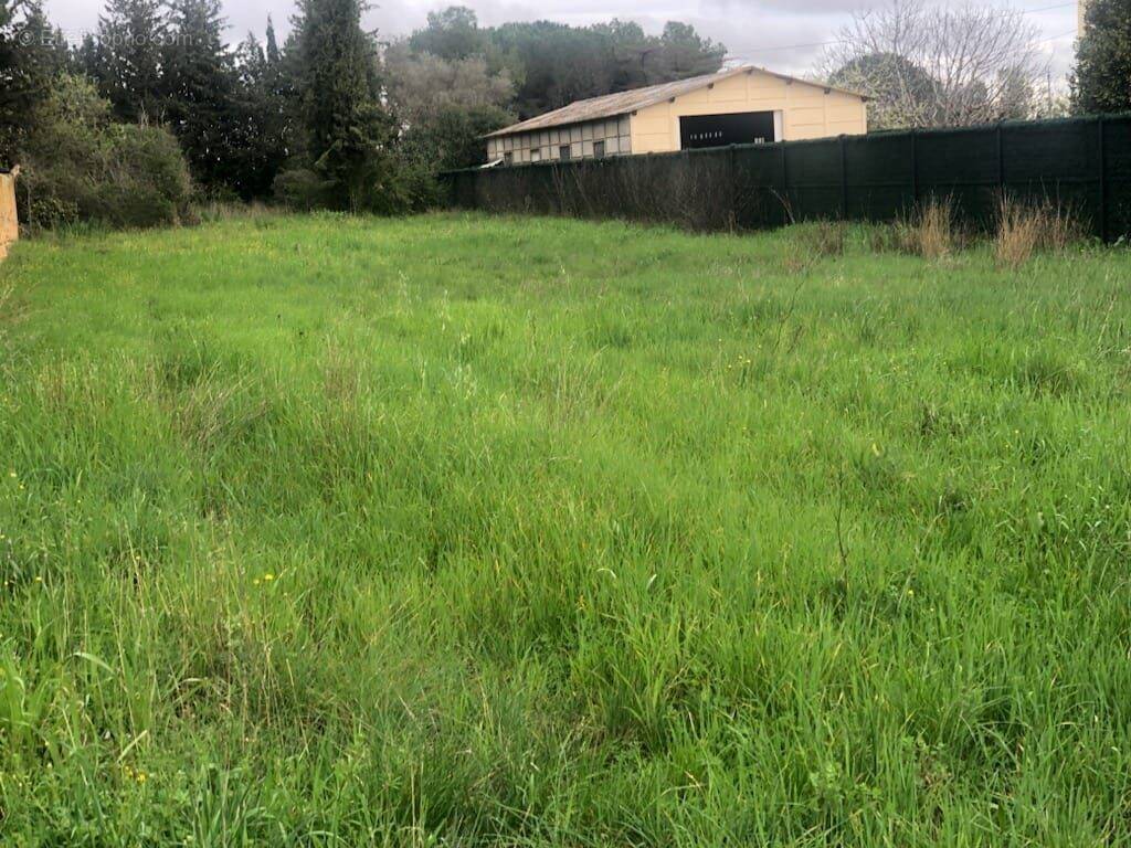 Terrain à BEZIERS