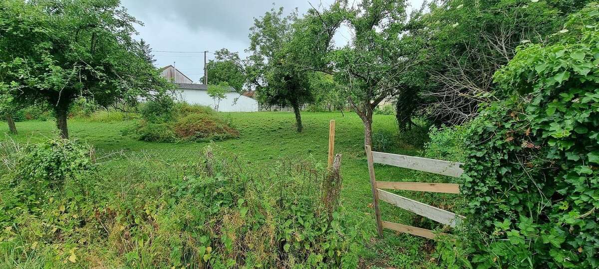 Terrain à SOGNOLLES-EN-MONTOIS
