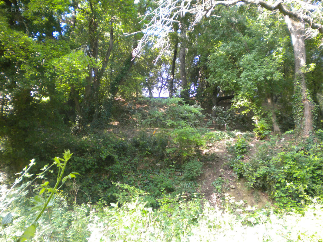 Terrain à MONDRAGON