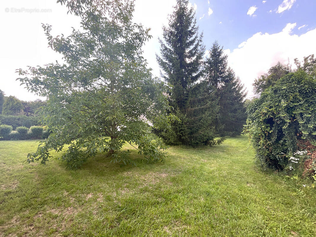 Terrain à AUTHUILLE