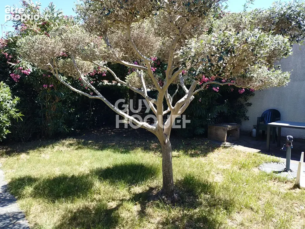Saint-Cyprien : maison de plain-pied deux faces avec jardin et garage - photo 6
