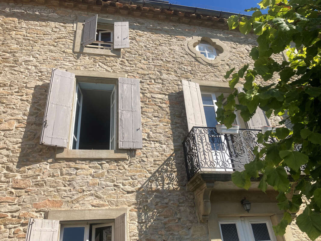Minervois, 20mn Carcassonne Est, maison de maitre 8 chambres avec jardin et terrasse. - photo 15
