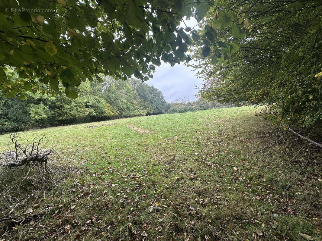 Terrain à SAINT-ETIENNE-LA-THILLAYE