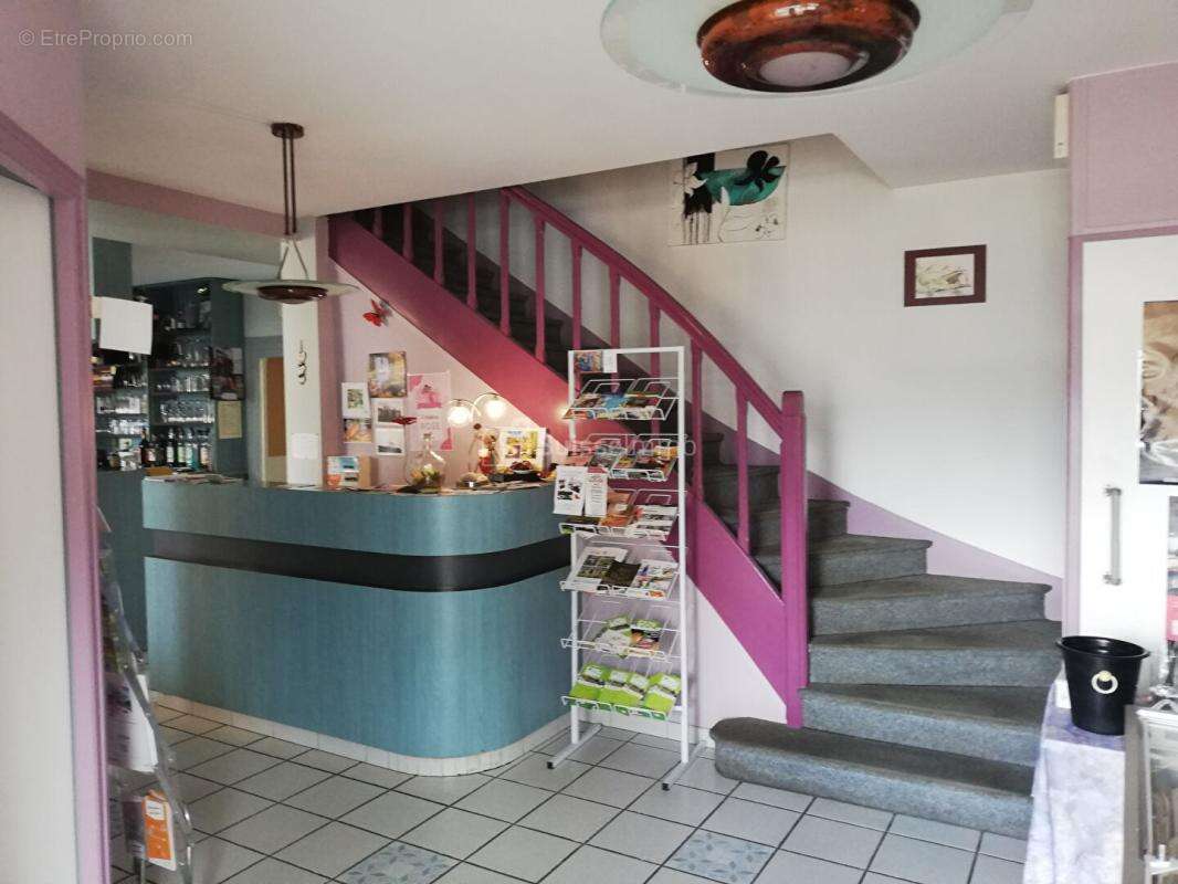 Grande Maison bord de Saône 10 pièce(s) 550 m2  avec terrasse et Parking - photo 4