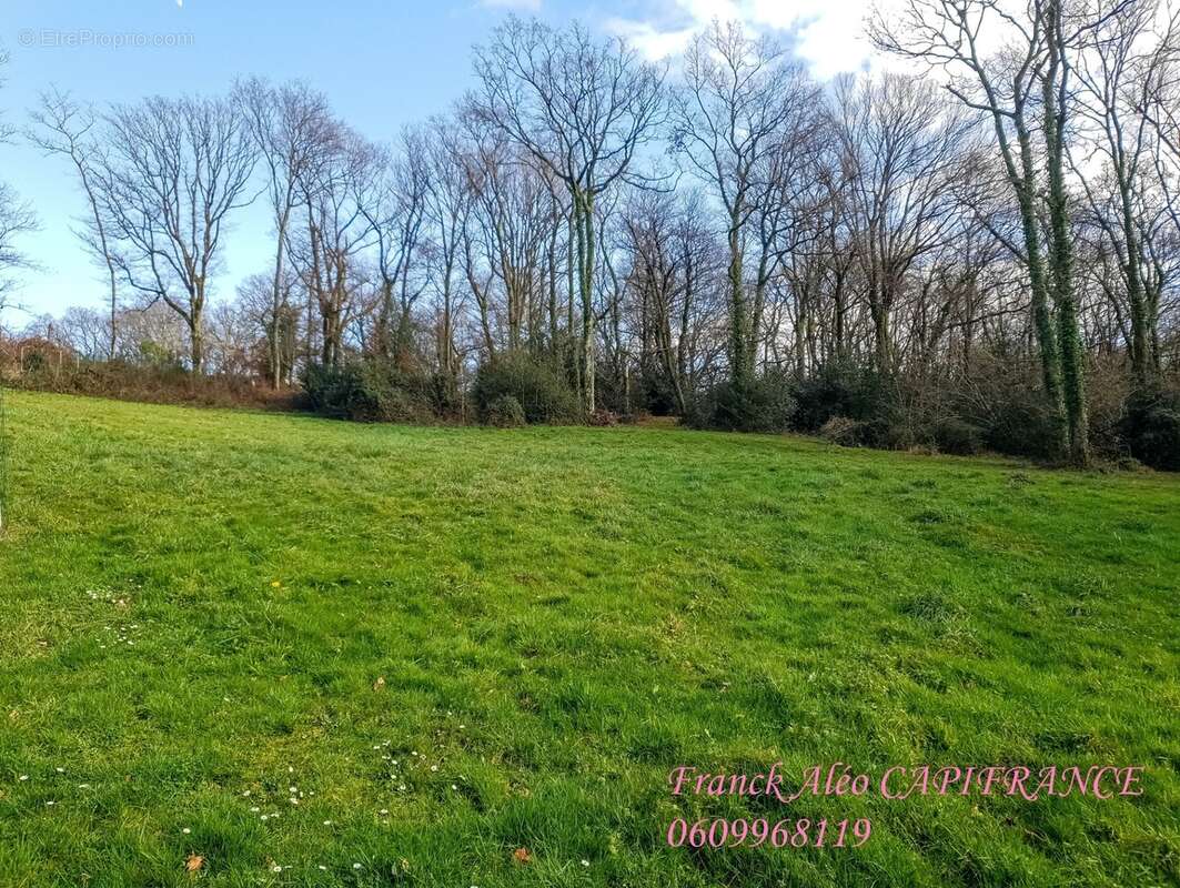 Dpt Pyrénées Atlantiques (64), à vendre BUROS terrain - photo 2