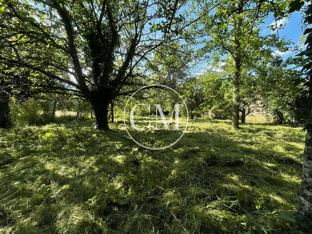 Gambais terrain - photo 5