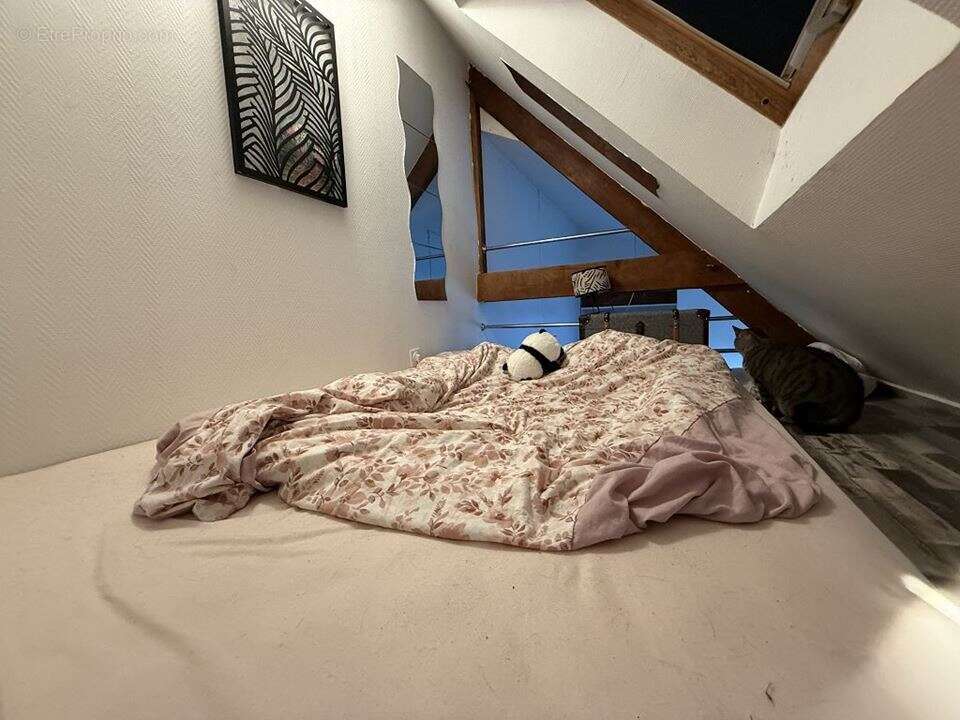 Appartement à LANESTER