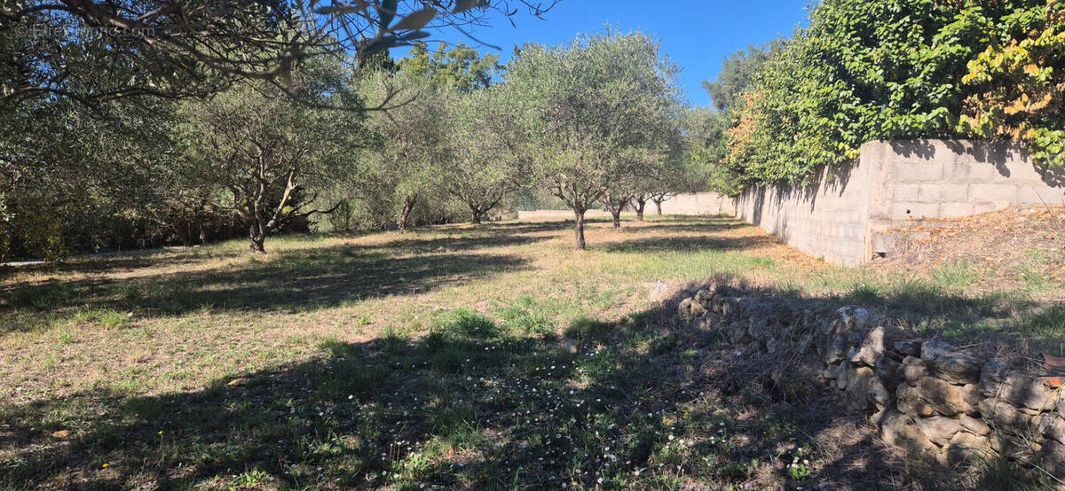 Terrain à MONTAUROUX