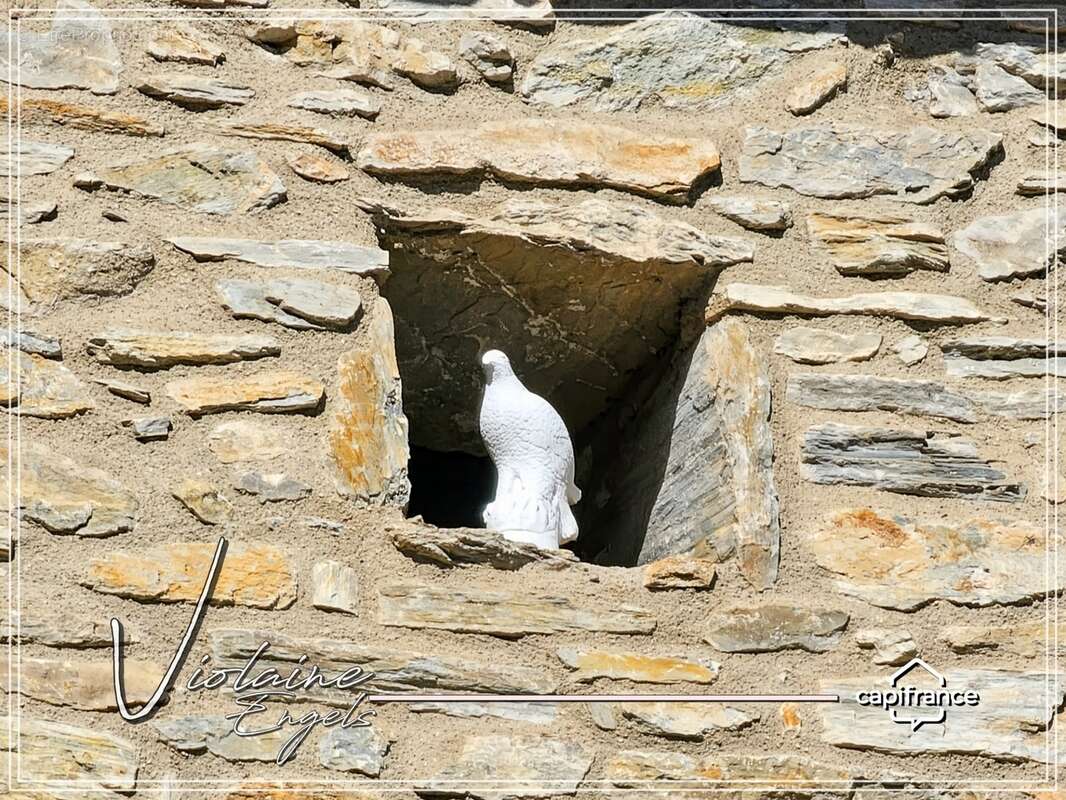 Ancien couvent de 1826 – Demeure de caractère avec terrasse et jardin au cœur du Haut-Languedoc - photo 17